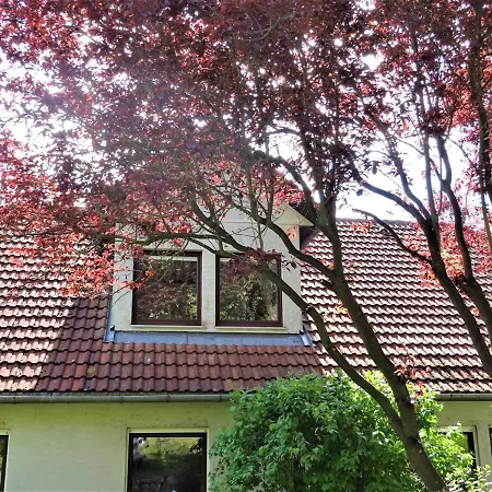 Fewo In Unmittelbarer Nahe Des Wunderschonen Tollensesees Appartamento Neubrandenburg